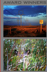 Award winning photos