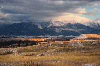 jb_bisonrange_3283