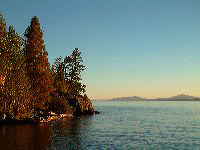 jb_flathead_002