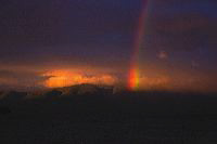 jb_flatheadrainbow_002