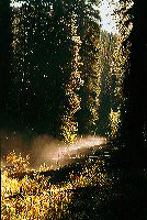 jb_morningfog_003