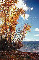 jb_wayfarerpoint_003