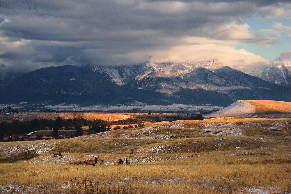 jb_bisonrange_3283.jpg