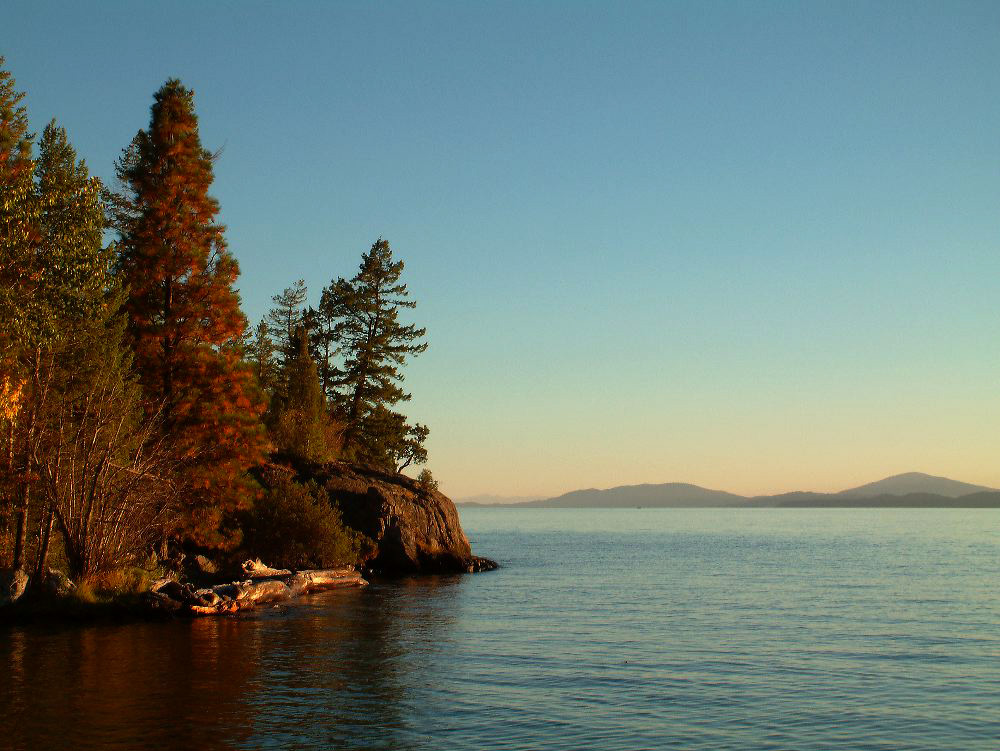 jb_flathead_002.jpg