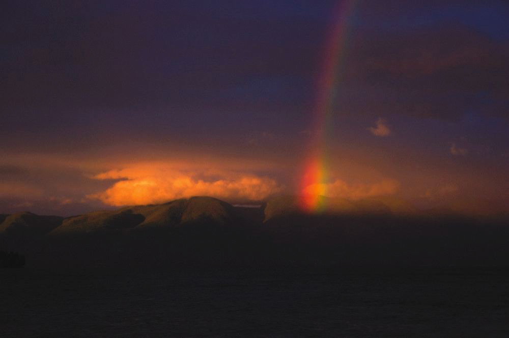 jb_flatheadrainbow_002.jpg