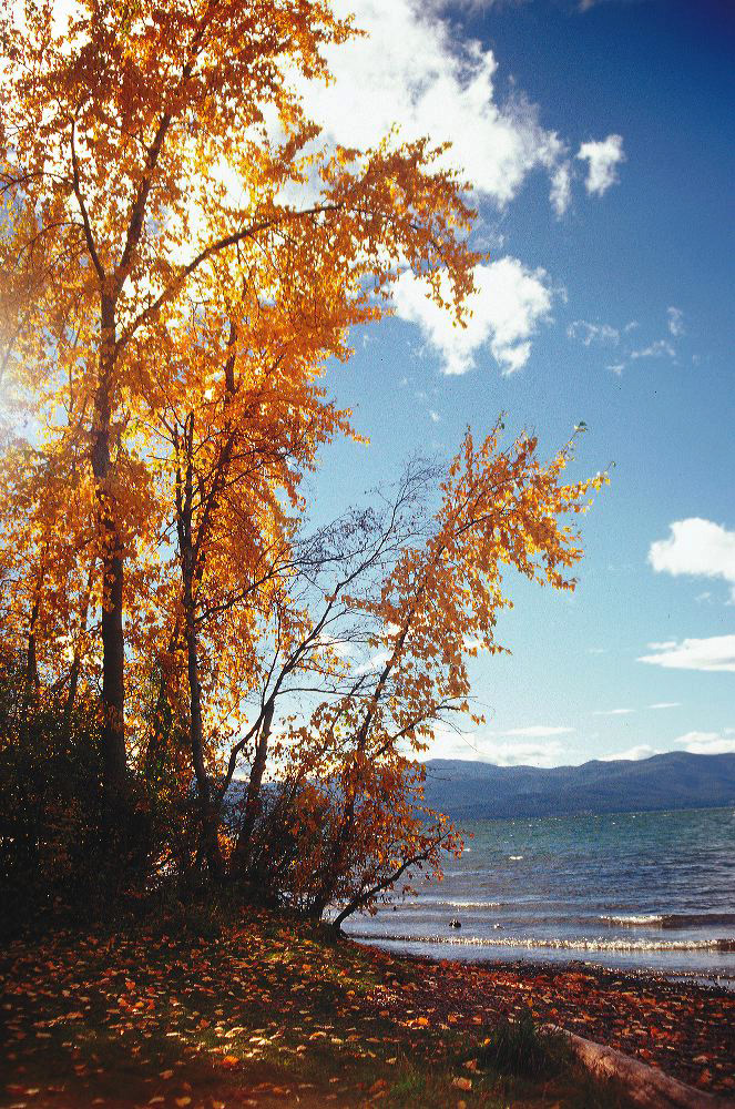 jb_wayfarerpoint_003.jpg