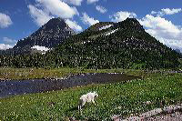 jb_loganpass_4724