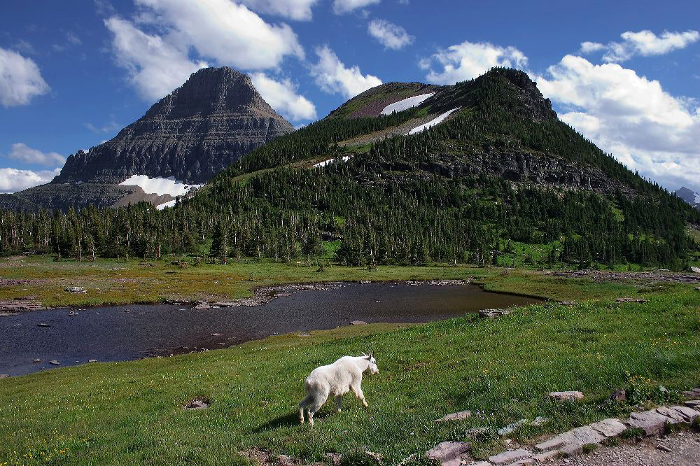 jb_loganpass_4724.jpg