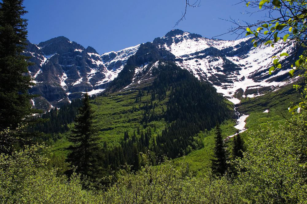 jb_mountbrown_002_1436.jpg