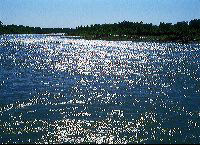 jb_river_backlit_1