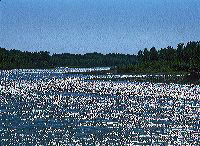 jb_river_backlit_2