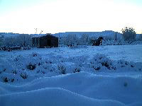 snowymorning1