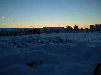 snowymorning2