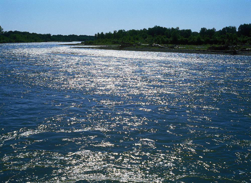 jb_river_backlit_1.jpg