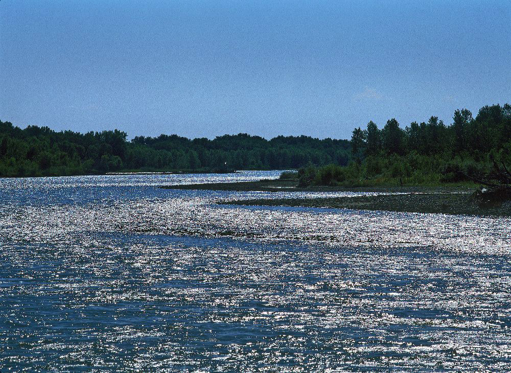 jb_river_backlit_2.jpg