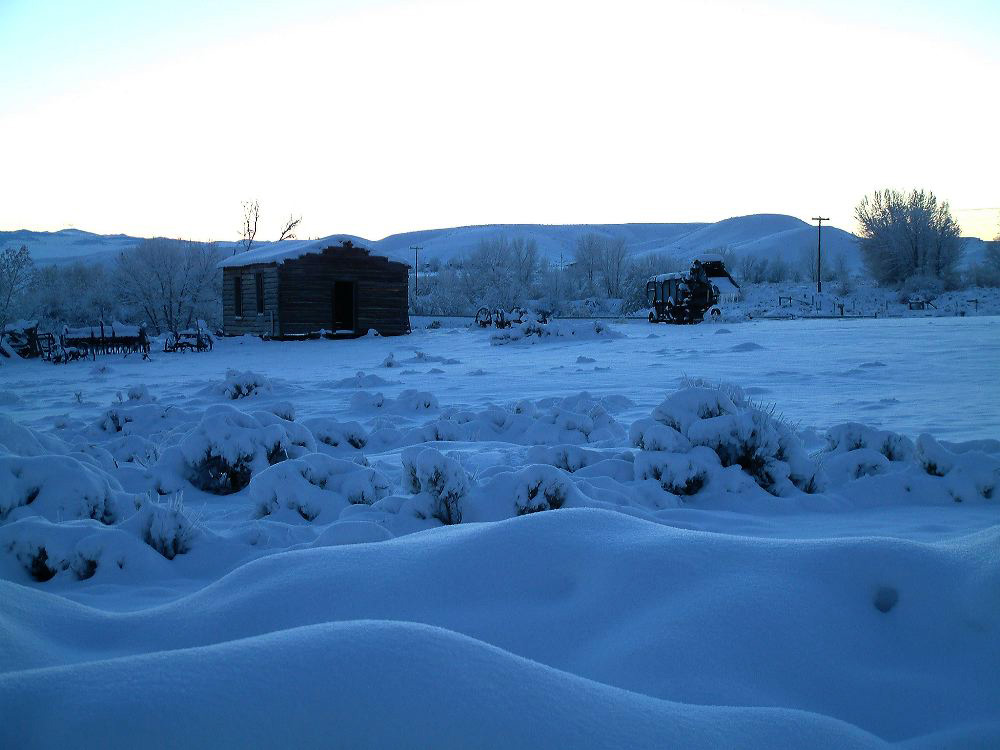 snowymorning1.jpg