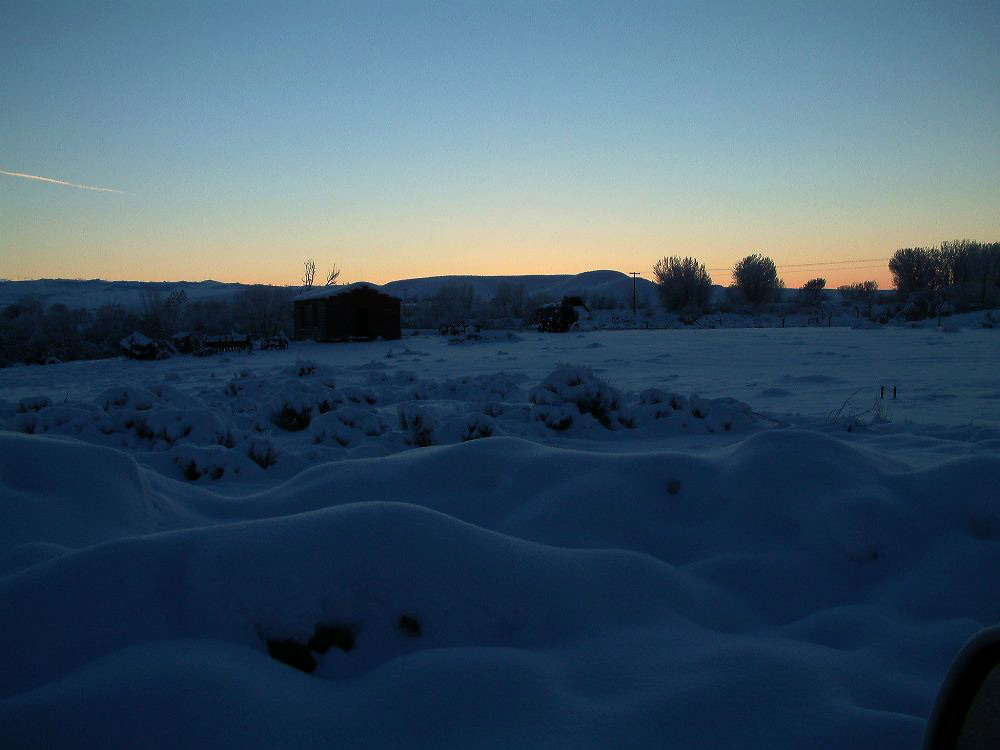 snowymorning2.jpg