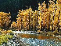 jb_clarkfork_03