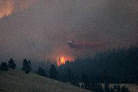 jb_fire-blackcat_5064