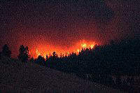 jb_fire-blackcat_5068