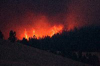jb_fire-blackcat_5069
