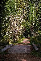jb_franklinbridge_01