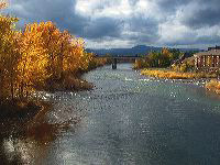 jb_msla-madisonbridge_002