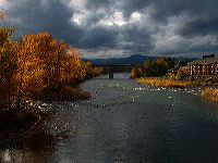 jb_msla-madisonbridge_003