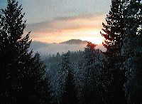 jb_mtsentinel-fog_01
