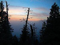 jb_woodypoint-fog_01