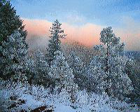 jb_woodypt-frost_03