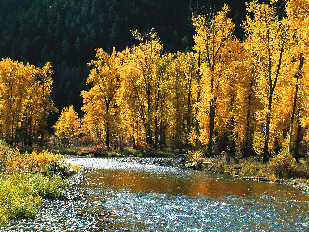 jb_clarkfork_03.jpg