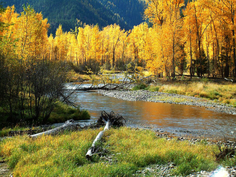 jb_clarkfork_05.jpg