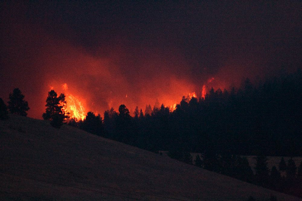jb_fire-blackcat_5070.jpg