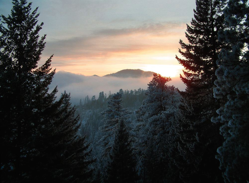 jb_mtsentinel-fog_01.jpg