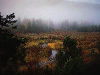 jb_clearwater-fog_001