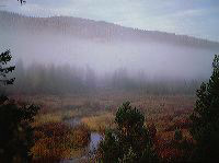 jb_clearwater-fog_003