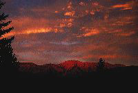 jb_swans-evening_002