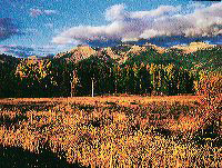 jb_swans-meadow_001