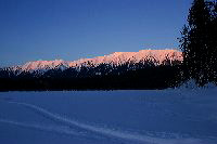 jb_swans-rainylake_2291