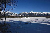jb_swans_winter_2256