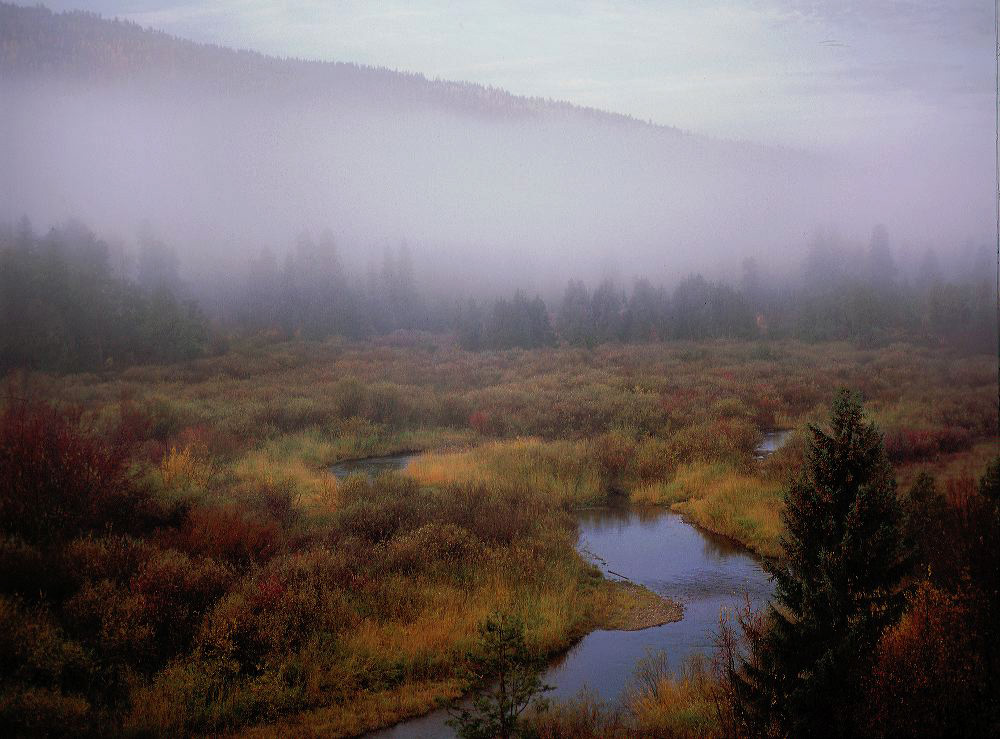 jb_clearwater-fog_002.jpg