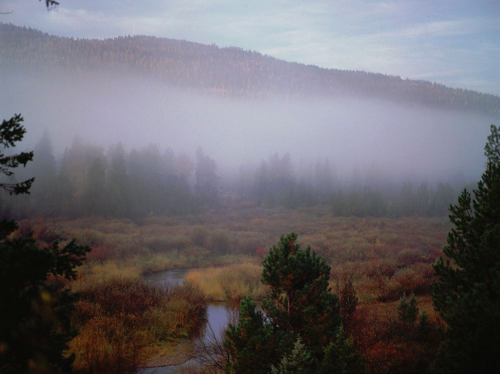 jb_clearwater-fog_003.jpg