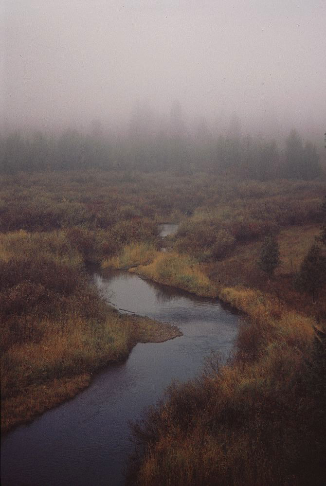 jb_clearwater-fog_004.jpg