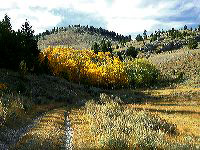 jb_aspens-road_0050