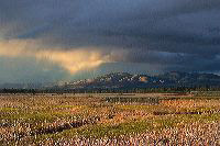 jb_bitterrootvalley_001