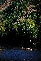 jb_blackfoot-flyfishing_002
