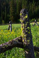 jb_buck-fence_5784