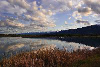 jb_leemetcalf_b-roots_0952