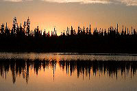 jb_lilylake_4450
